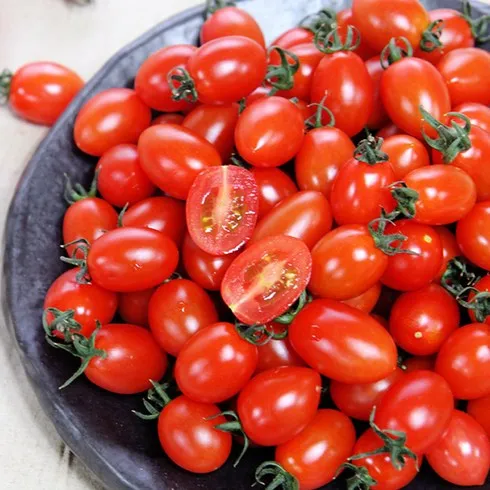 오색 칵테일 토마토 5kg 맞춤상품 8가지